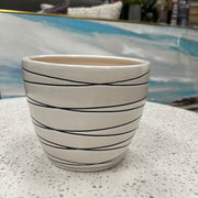 Black & White Planter Collection